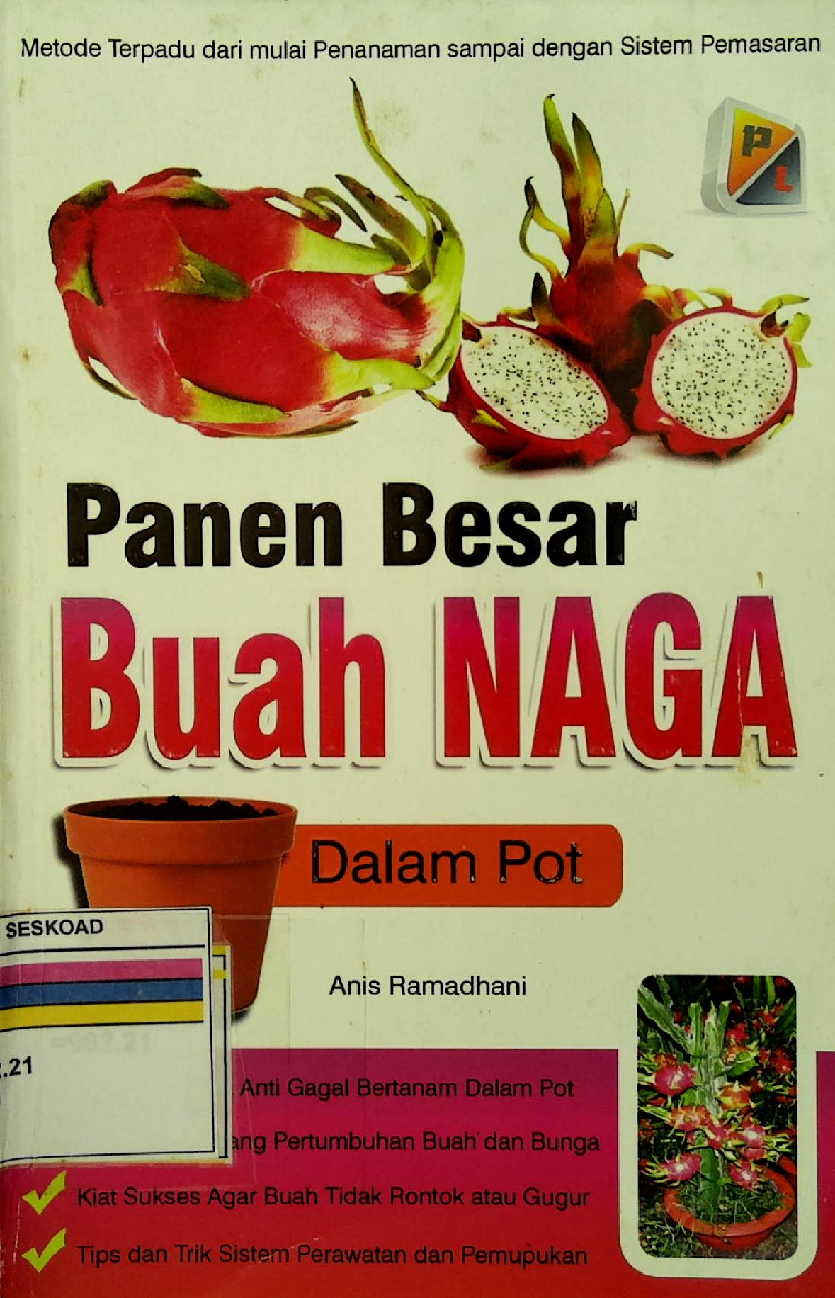 Panen Besar Buah Naga Dalam Pot